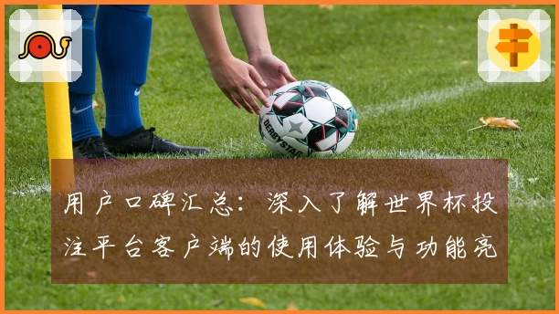 用户口碑汇总：深入了解世界杯投注平台客户端的使用体验与功能亮点