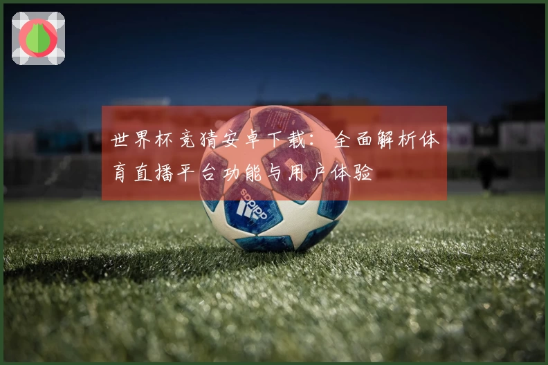 世界杯竞猜安卓下载：全面解析体育直播平台功能与用户体验
