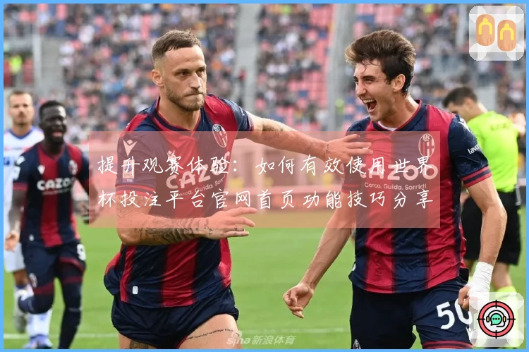 提升观赛体验：如何有效使用世界杯投注平台官网首页功能技巧分享