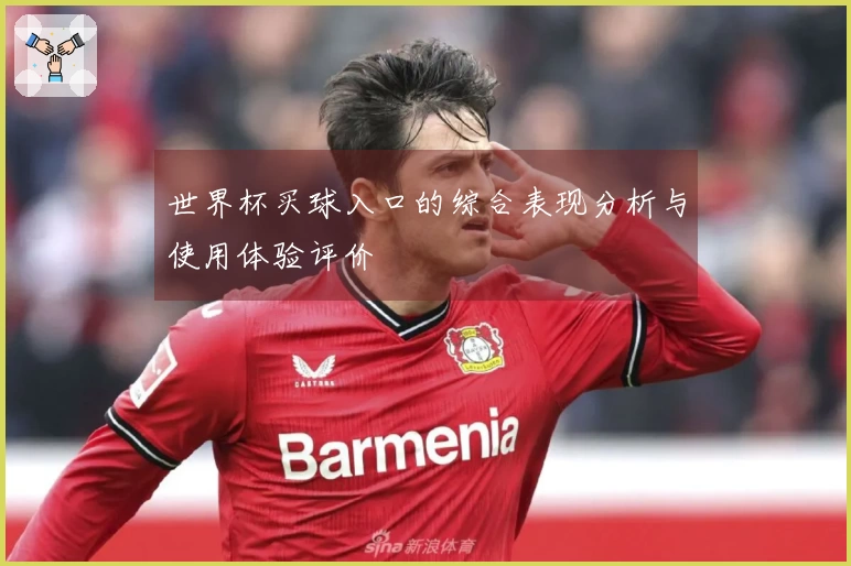 世界杯买球入口的综合表现分析与使用体验评价