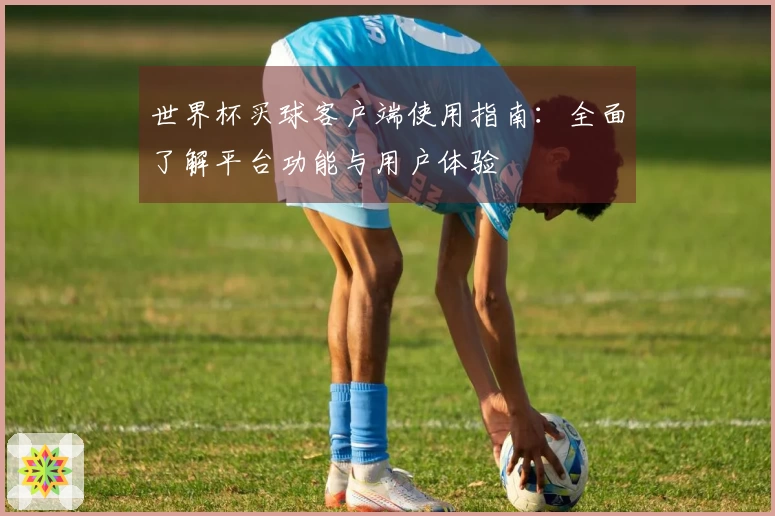 世界杯买球客户端使用指南：全面了解平台功能与用户体验