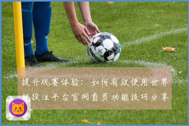 提升观赛体验：如何有效使用世界杯投注平台官网首页功能技巧分享