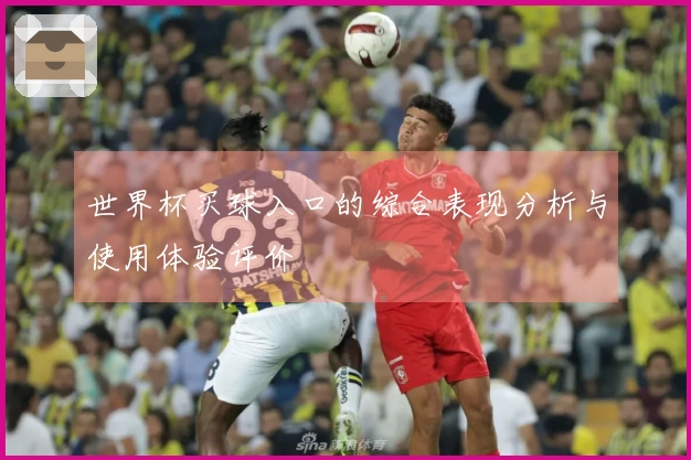 世界杯买球入口的综合表现分析与使用体验评价