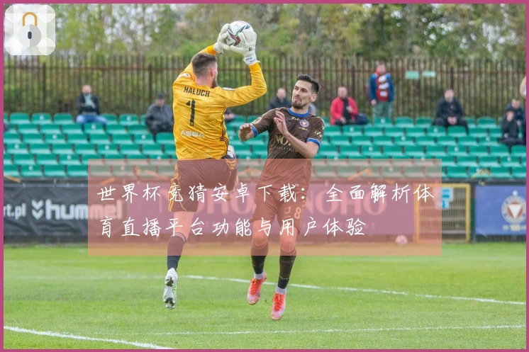世界杯竞猜安卓下载：全面解析体育直播平台功能与用户体验