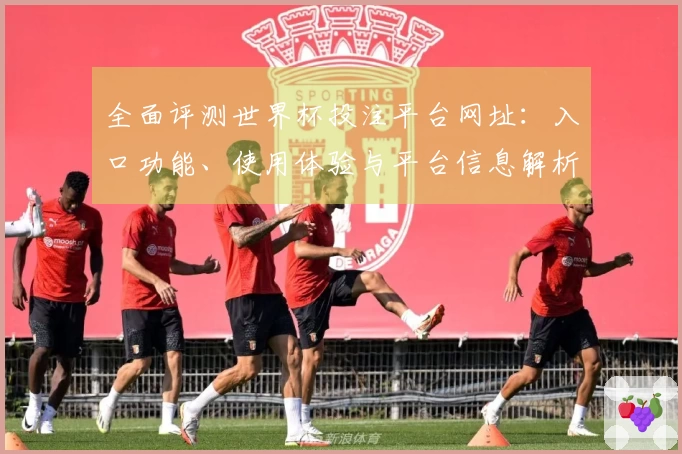 全面评测世界杯投注平台网址：入口功能、使用体验与平台信息解析