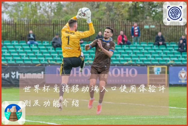 世界杯竞猜移动端入口使用体验评测及功能介绍